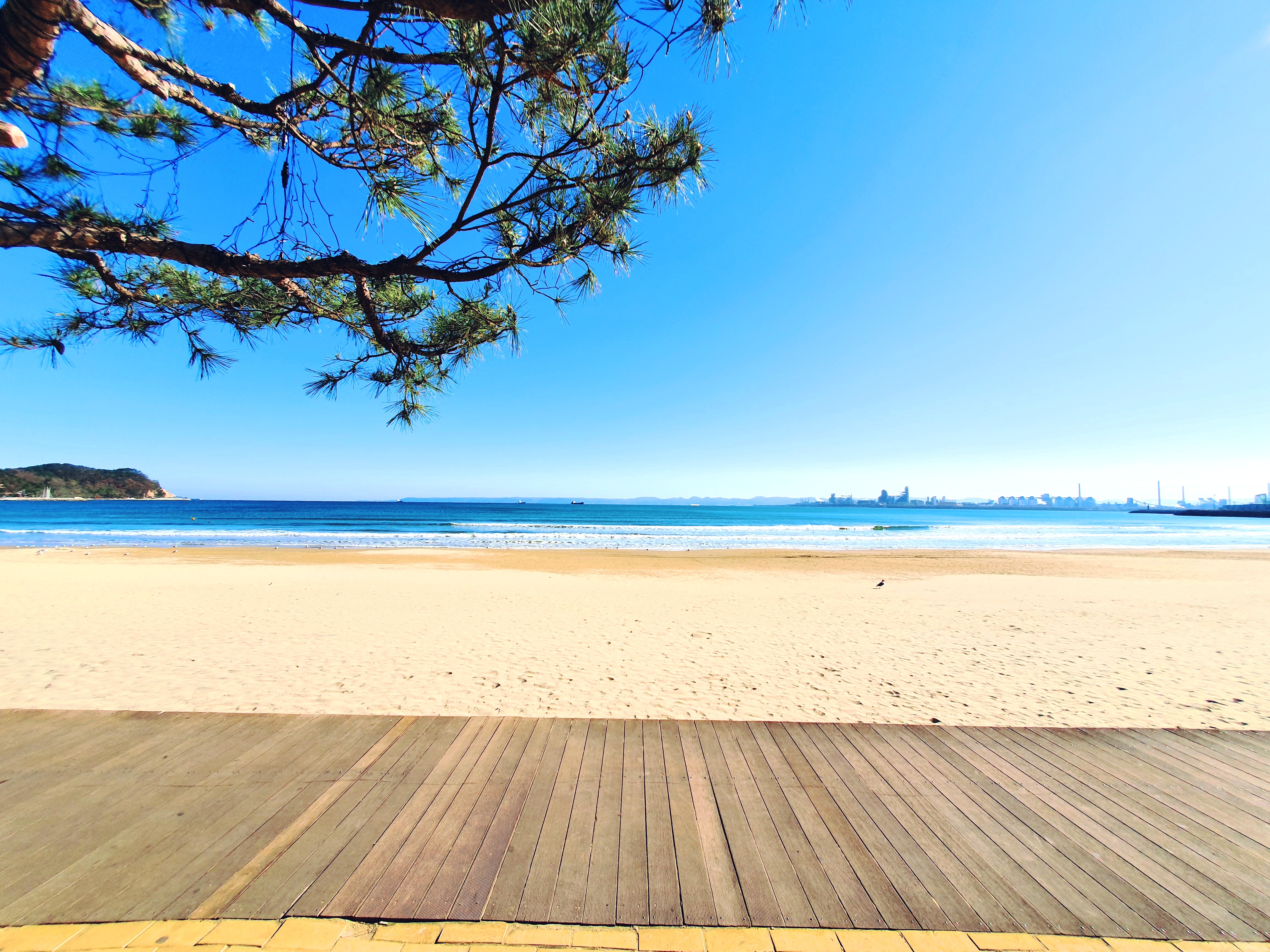迎日台绵长的白沙海滩全景，远处是 영일만 海面与城市天际线。